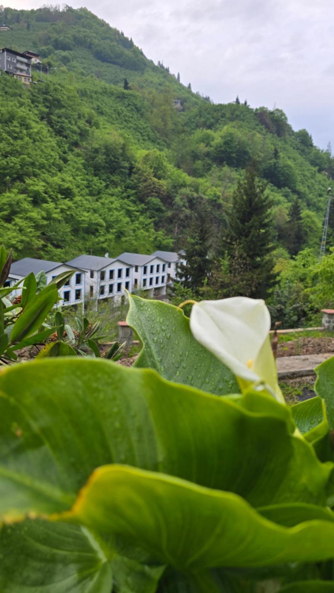 Muradland الوادي الأخضر Hotel